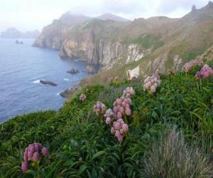 Puzle Subantarctic ostrovů, zahrnuje ostrovy Snares, Bounty, Antipodes, Auckland a Campbell, který se nachází v Jižním oceánu, jihovýchodně od Nového Zélandu.