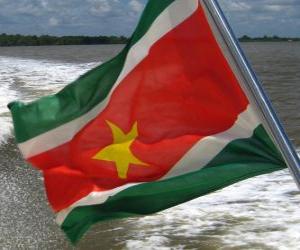 Puzle Surinamská vlajka