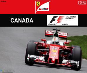 Puzle S.Vettel, Grand Prix Kanady 2016