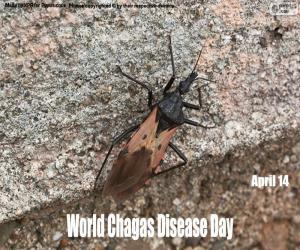 Puzle Světový den Chagasovy choroby