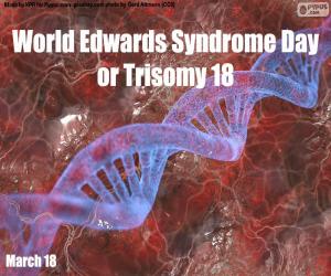Puzle Světový den Edwardsova syndromu nebo trizomie 18