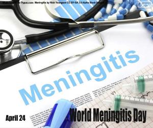 Puzle Světový den meningitidy