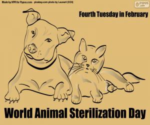 Puzle Světový den sterilizace zvířat