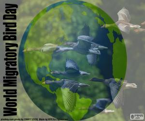 Puzle Světový den stěhovavých ptáků