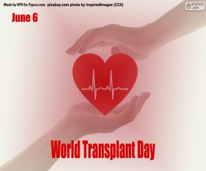 Puzle Světový den transplantace