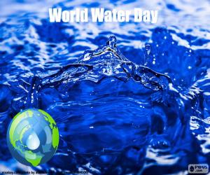 Puzle Světový den vody