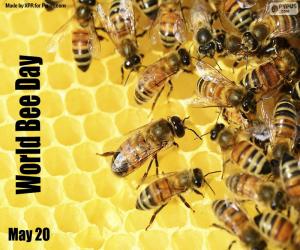 Puzle Světový den včel