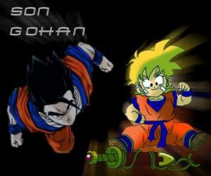 Puzle Syn Gohan, Goku nejstarší syn, bojovník, napůl člověk a napůl Saiyan.