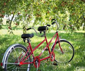 Puzle Tandem dvou cyklistů