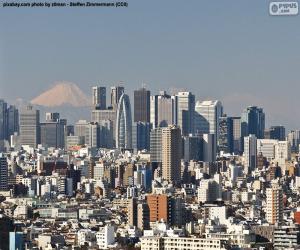 Puzle Tokio, Japonsko