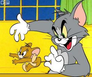 Puzle Tom cat zachytit Jerry myš