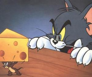 Puzle Tom kočka překvapil Jerry myši při kousek sýra