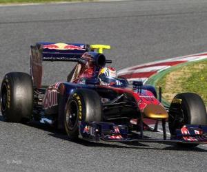 Puzle Toro Rosso STR6 - 2011 -