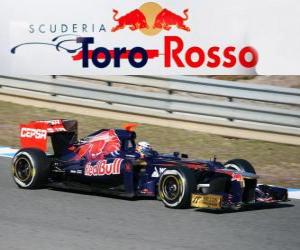 Puzle Toro Rosso STR7 - 2012 -