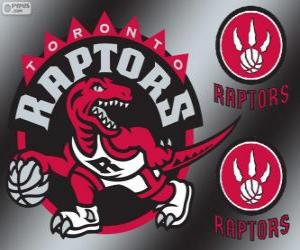 Puzle Toronto Raptors logo, tým NBA. Atlantická Divize, Východní konference