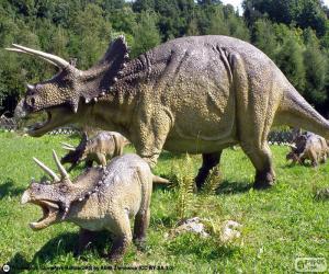 Puzle Triceratops