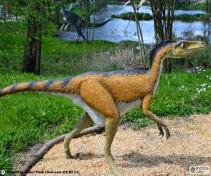 Puzle Troodon