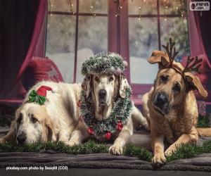 Puzle Tři velcí vánoční psi