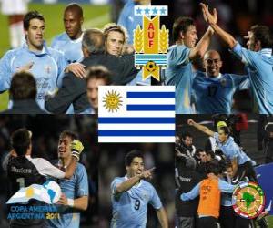 Puzle URU finalistou, Copa America 2011