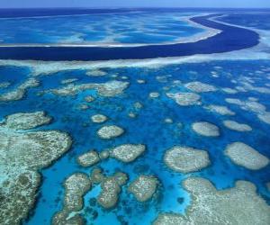 Puzle Velký bariérový útes, korálové útesy na celém světě největší. Austrálie.