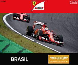 Puzle Vettel, 2015 Grand Prix Brazílie