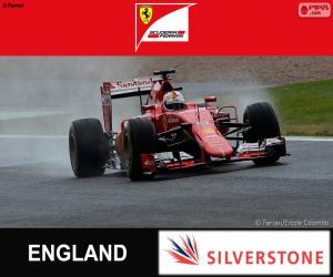 Puzle Vettel G.P Velké Británie 2015