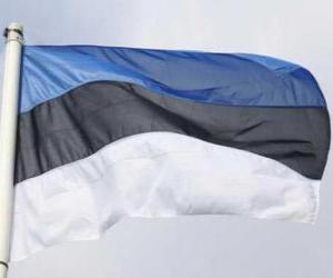 Puzle Vlajka Estonska