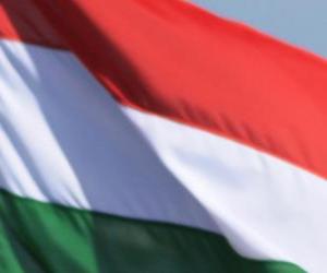 Puzle Vlajka Maďarska