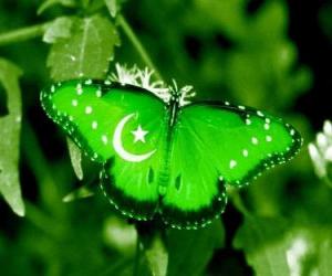 Puzle Vlajka Pákistánu