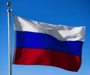Puzle Vlajka Ruska