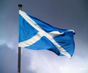 Puzle Vlajka Skotsko, země Spojeného království