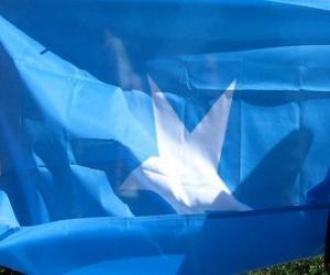 Puzle Vlajka Somálsko