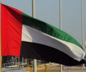 Puzle Vlajka Spojených arabských emirátů