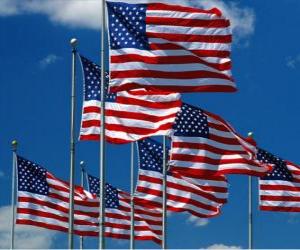 Puzle Vlajka Spojených států amerických nebo USA