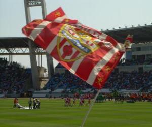 Puzle Vlajka UD Almería