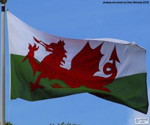 Puzle Vlajka Walesu