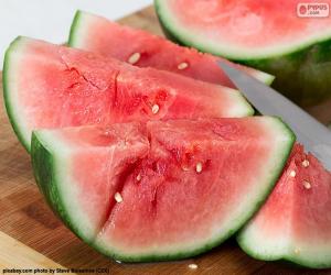 Puzle Vodní meloun