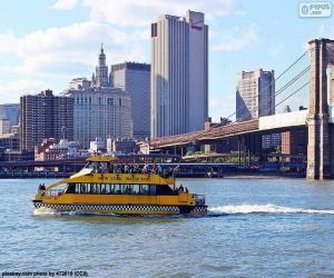 Puzle Vodní Taxi New York