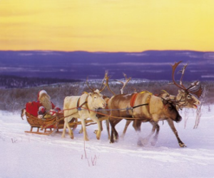 Puzle Vánoční saních tažených soby a naložené dary a Santa Claus