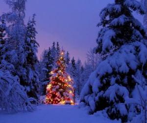 Puzle Vánoční strom v lese