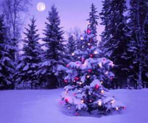 Puzle Vánoční stromky v zasněžené krajině se Měsíc na obloze