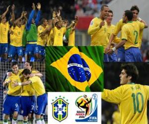 Puzle Výběr z Brazílie, skupina G, Jižní Afrika 2010