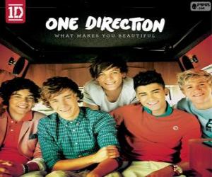 Puzle What Makes You Beautiful, One Direction