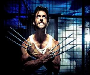 Puzle Wolverine je mutant superhrdina a jeden z X-Men mravence New Avengers