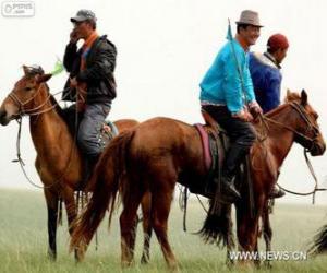 Puzle Xilingol kůň pocházející z Mongolska