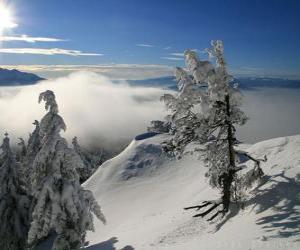 Puzle Zasněžené hory v Poiana Brasov, Rumunsko