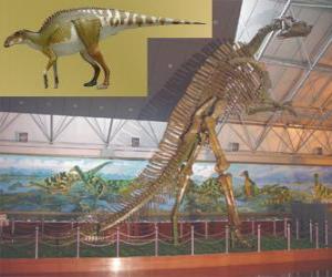 Puzle Zhuchengosaurus je jedním z největších známých hadrosaurids