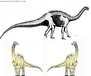 Puzle Zizhongosaurus je rod bazální býložravého sauropodního dinosaura, který žil v rané jury období Číny.