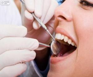 Puzle Zubní vyšetření