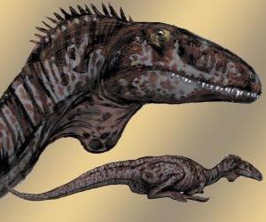 Puzle Zupaysaurus byla střední theropod, dosahující až 4 m dlouhé, 1,20 vysoký a váží 200 kg